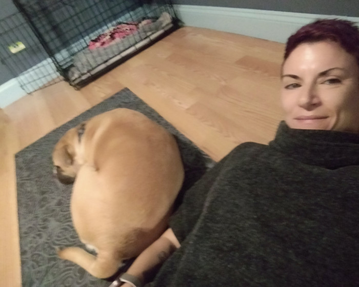 Regional Phase Yoga Warrior